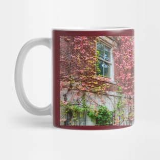 Victorian homes from street in Boston red brick exterior with Boston ivy in autumn colors Mug